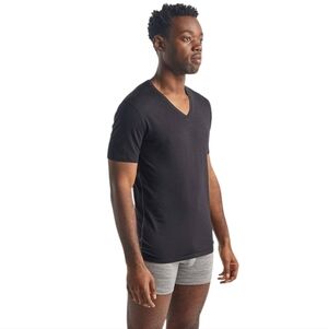 Icebreaker Anatomica Short Sleeve V-Neck T-Shirt